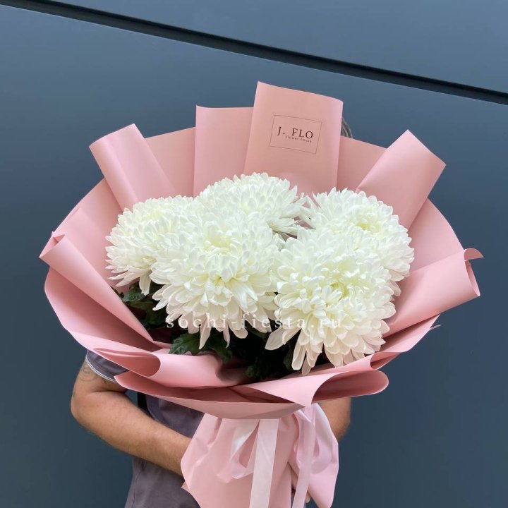 Профитроли №2 в Пскове