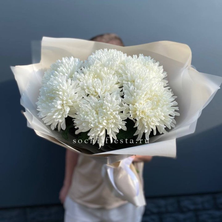 Профитроли в Пскове