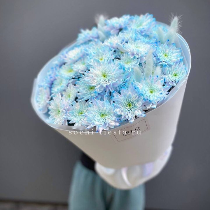  Букет нежно-голубых хризантем  в Пскове