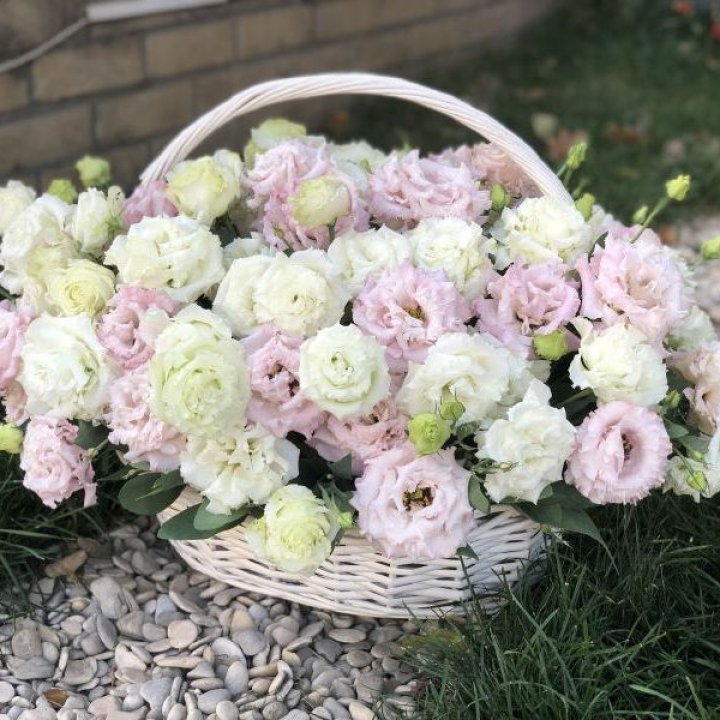 Корзина с эустомой в Пскове