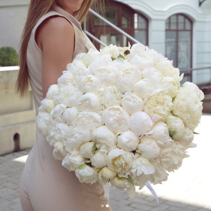 51 белый пион в Пскове