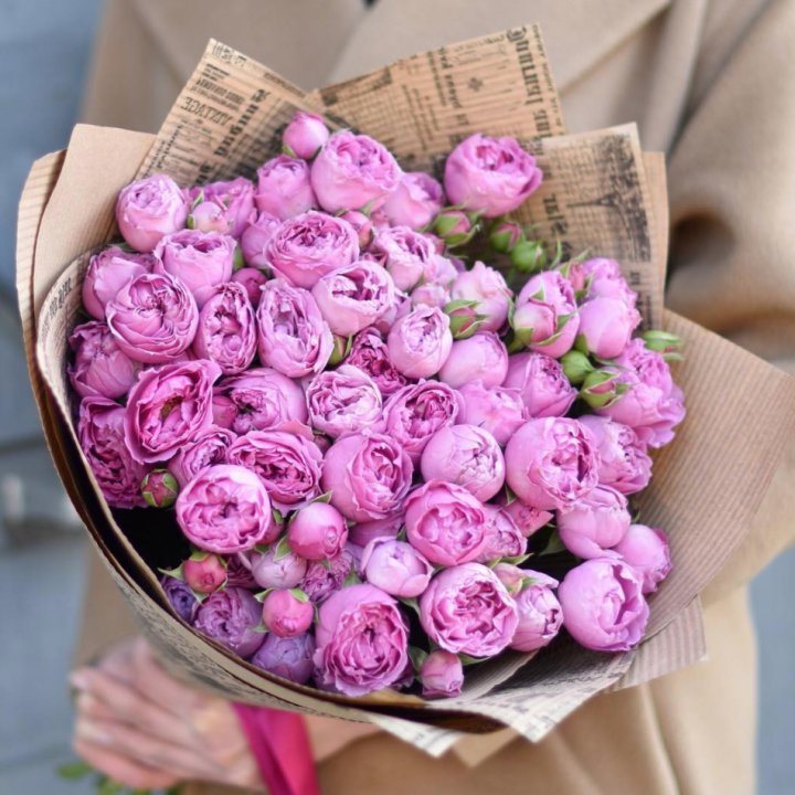 Роза Мисти Баблс в Пскове