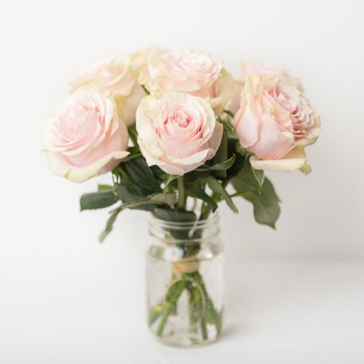 7 кремовых роз в Пскове