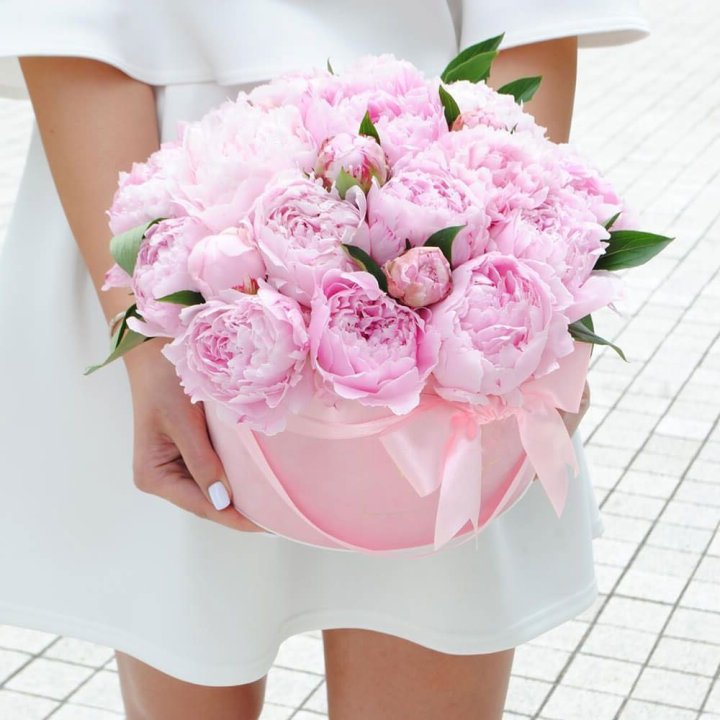 Пионы в шляпной коробке в Пскове