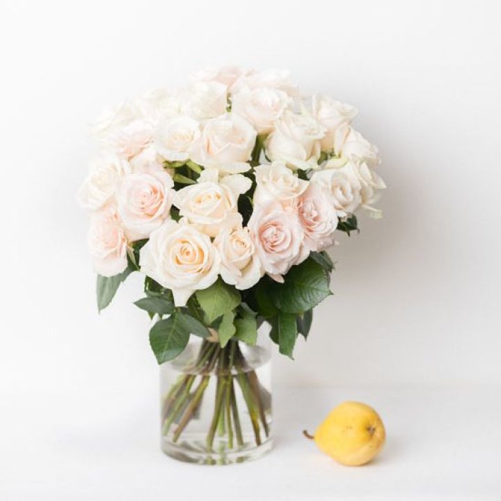 25 кремовых роз в Пскове