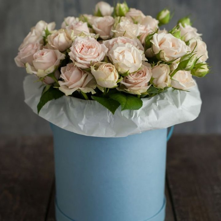 Бокс с бомбастиком в Пскове