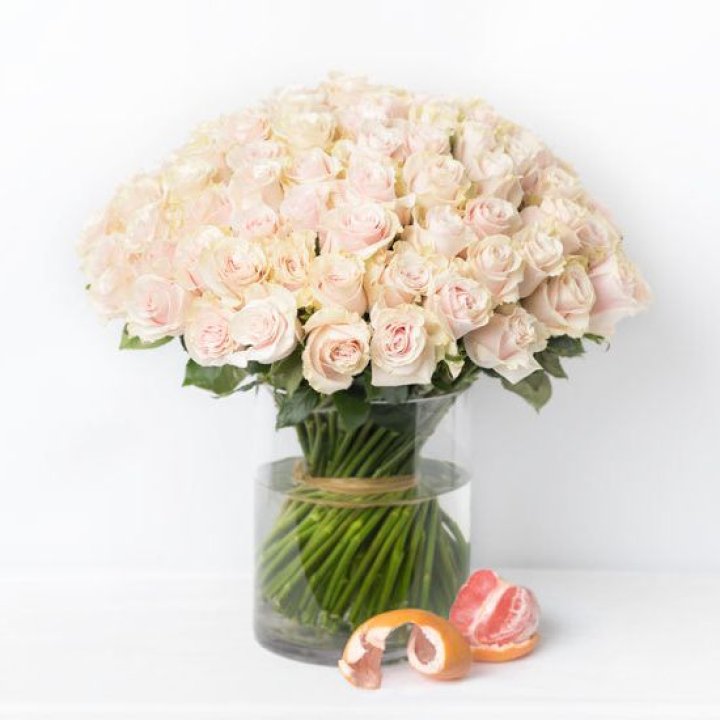 101 кремовая роза в Пскове