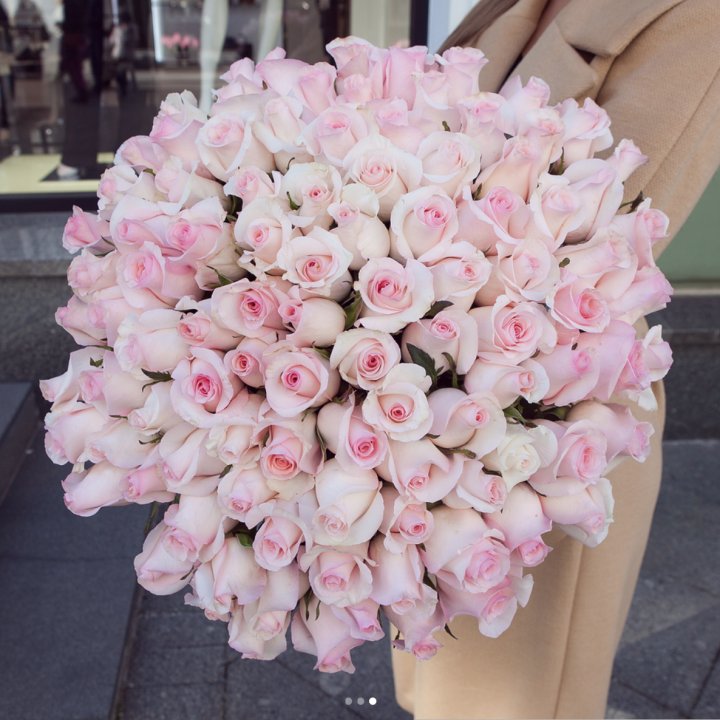 Розы "Пинк бум" в Пскове