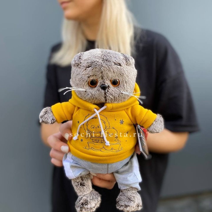 Кот Басик в худи в Пскове