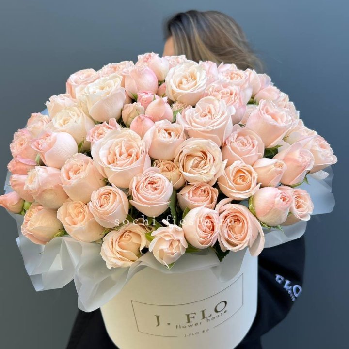 Бомбастик бокс Премьер в Пскове