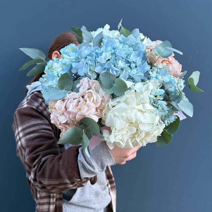 Гортензии в коробочке в Пскове