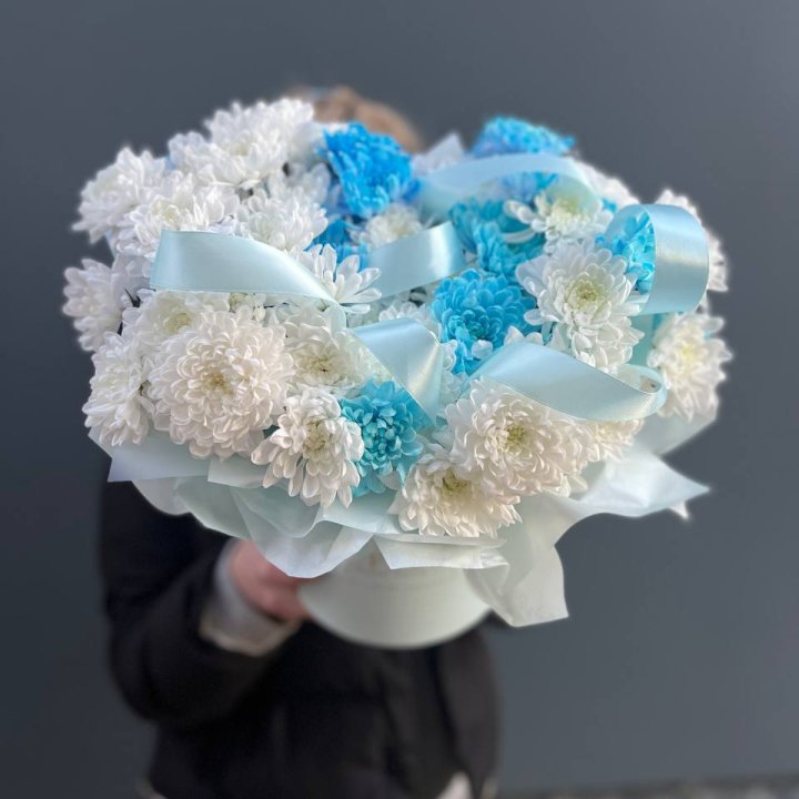 Хризнтемы в боксе в Пскове