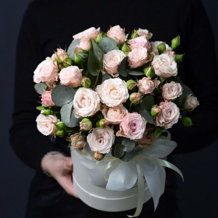 Бомбастик бокс №2 в Пскове