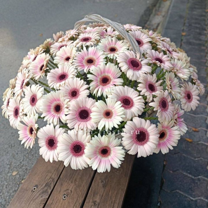 Корзина с герберами  в Пскове