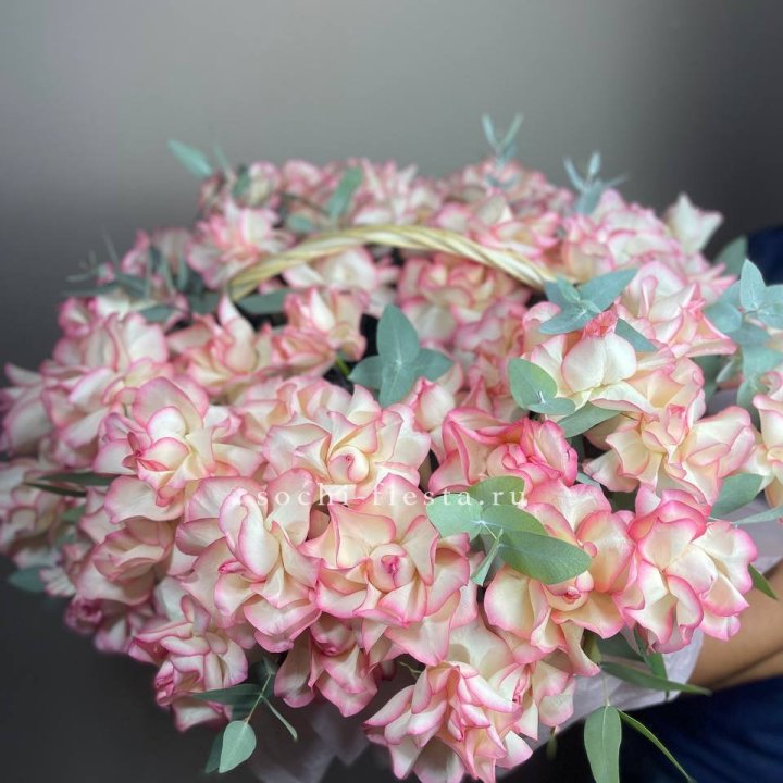 51 джумилия  в корзине   в Пскове