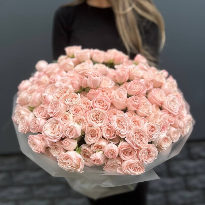 51 кустовая роза Бомбастик в Пскове