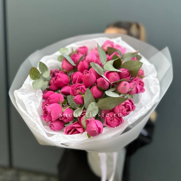 17 Мисти бабблс в Пскове