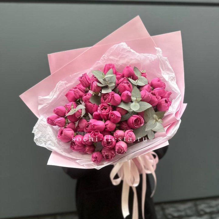 25 Мисти бабблс в Пскове