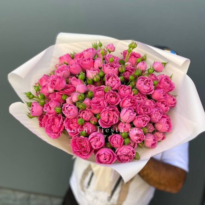 Мисти Баблс 35шт в Пскове