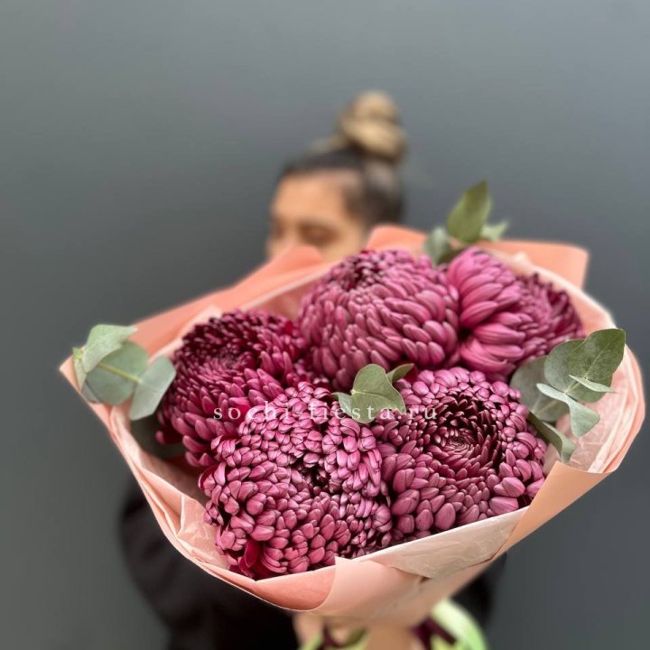 Хризантемы  Бигуди  в Пскове