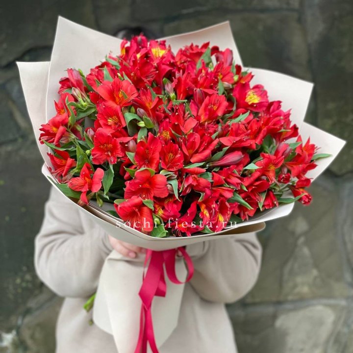 51 альстромерия в Пскове