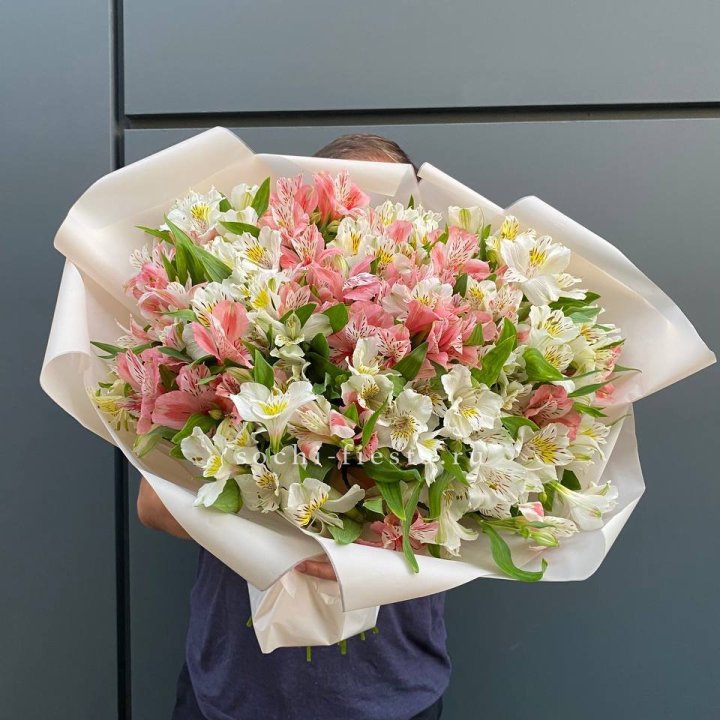 39 альстромерий в Пскове