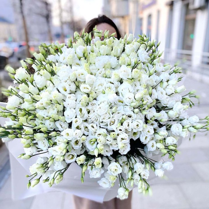 101 белая эустома в Пскове