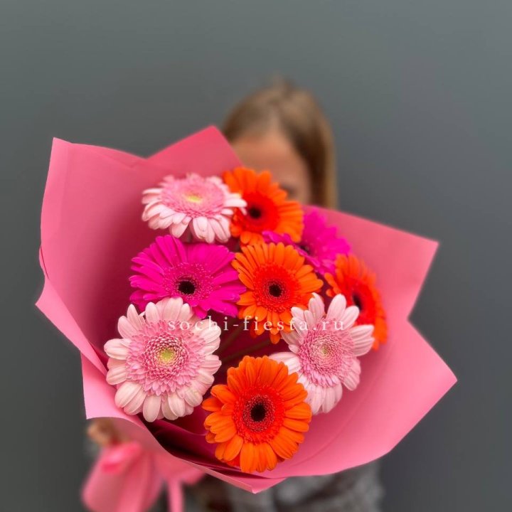 Краски в Пскове