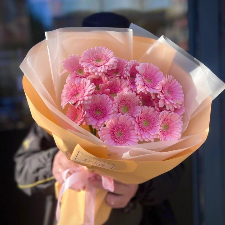 17 розовых гербер  в Пскове