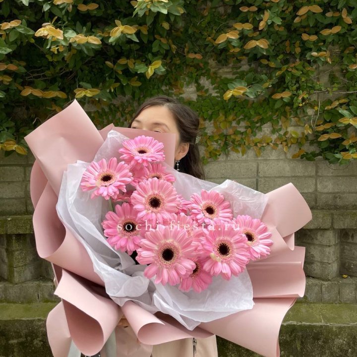 13 розовых гербер в Пскове