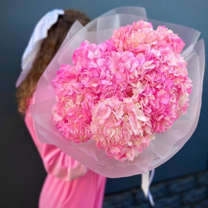 7 ярко розовых гортензий в Пскове