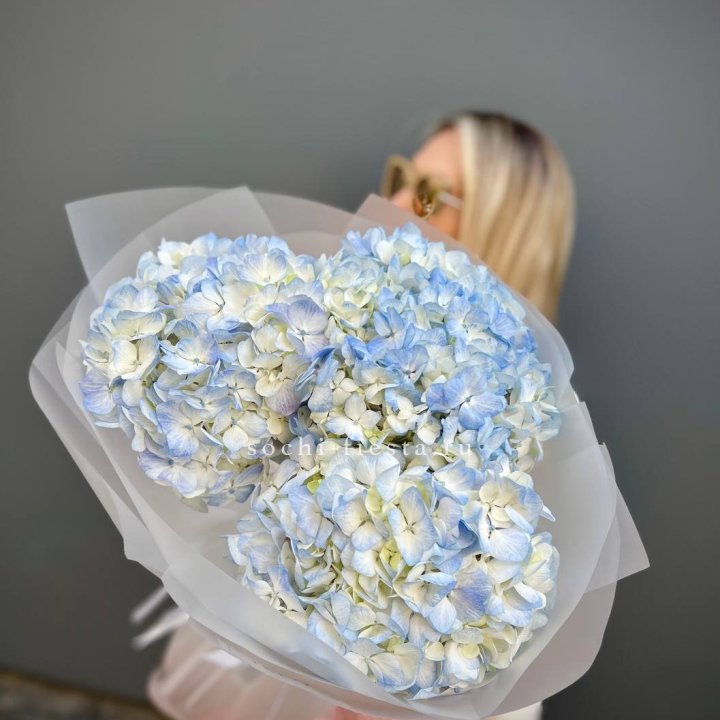 Букет из 3 голубых гортензий  в Пскове