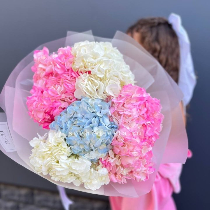 7 гортензий микс в Пскове
