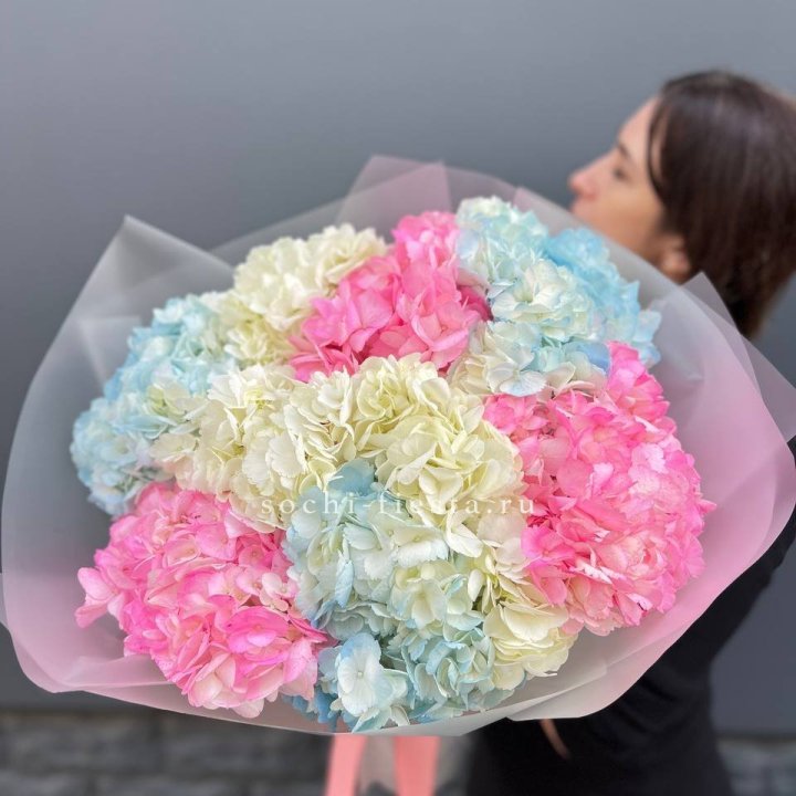 9 гортензий микс в Пскове