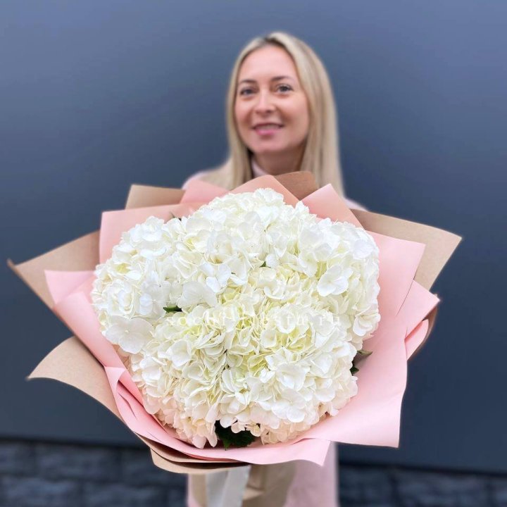 Гортензия белая в Пскове