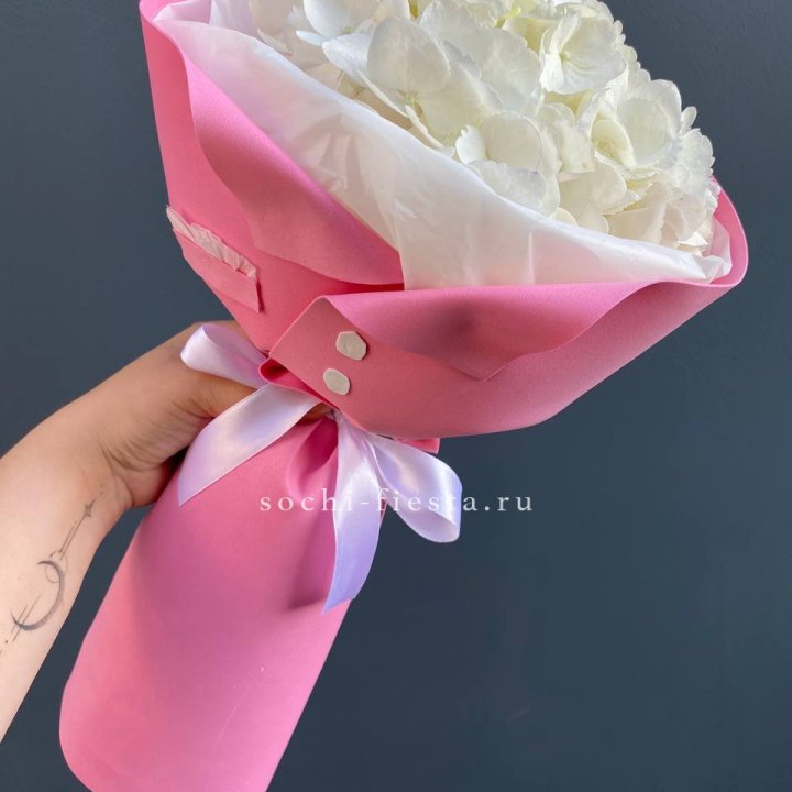 Гортензия в розовом пиджаке в Пскове