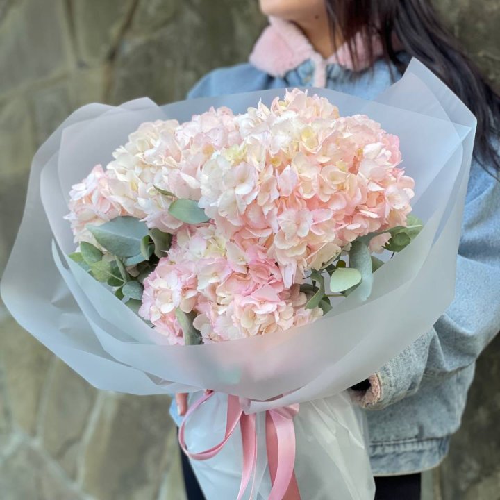 5 розовых гортензий в Пскове