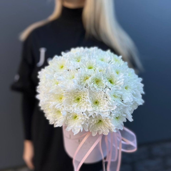 Коробка с хризантемами №1 в Пскове