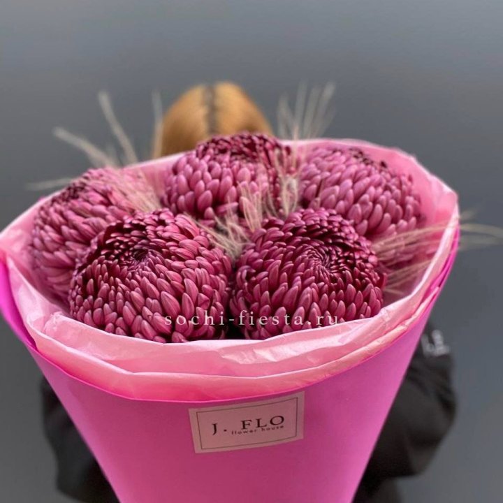 Хризантемы  Бигуди с стифой в Пскове