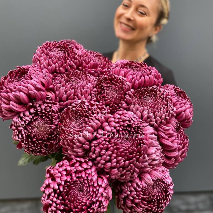 Охапка хризантем Бигуди в Пскове