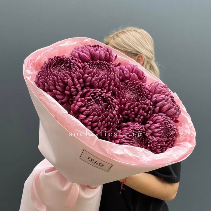 9 хризантем бигуди в Пскове