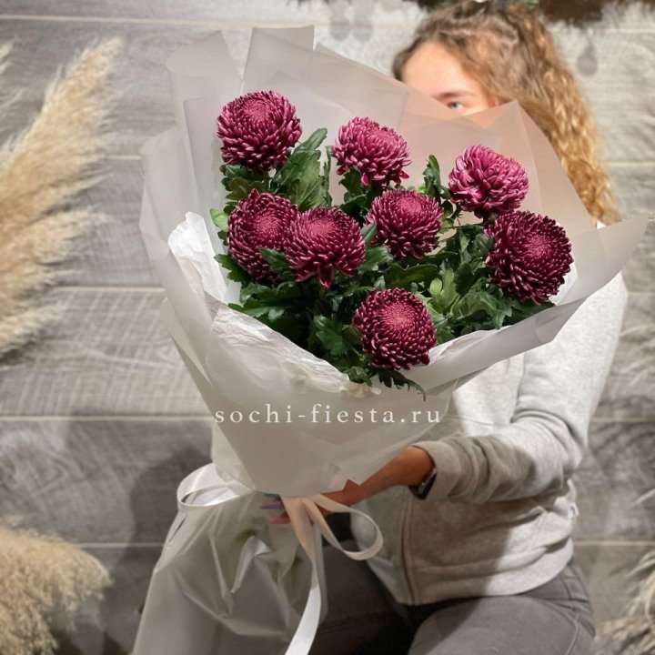 Хризантемы Бигуди в Пскове