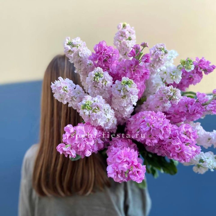 Охапка маттиолы в Пскове