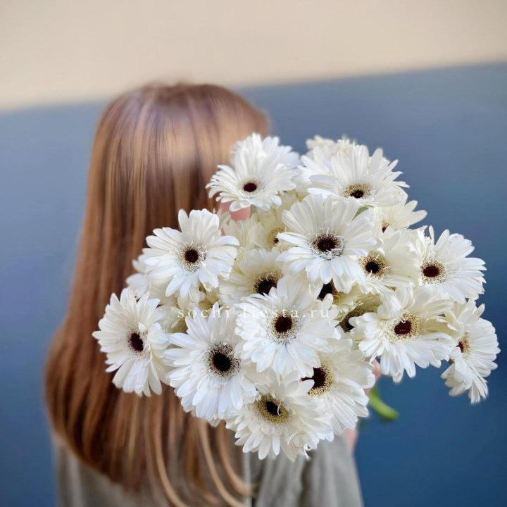 Охапка гербер в Пскове