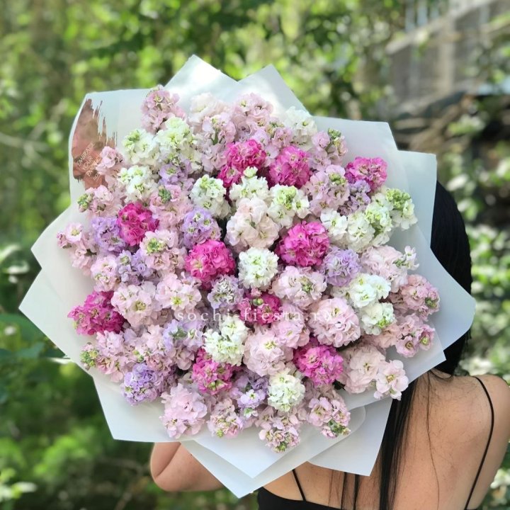 Букет ароматной маттиоллы №3 в Пскове