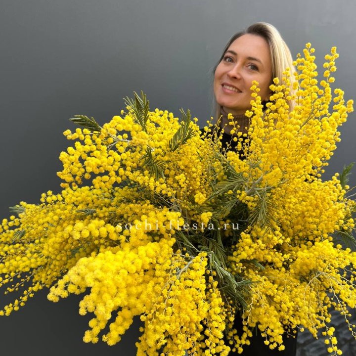 Охапка мимозы №2 в Пскове