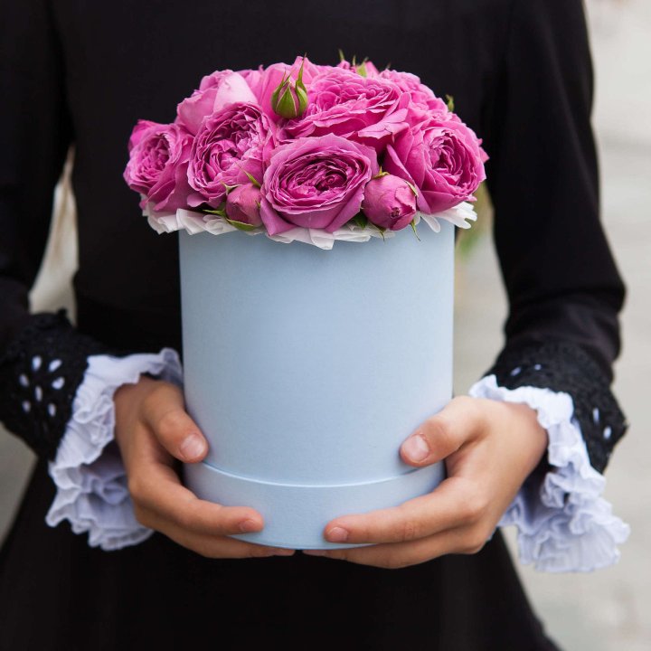 Бокс мини мисти в Пскове