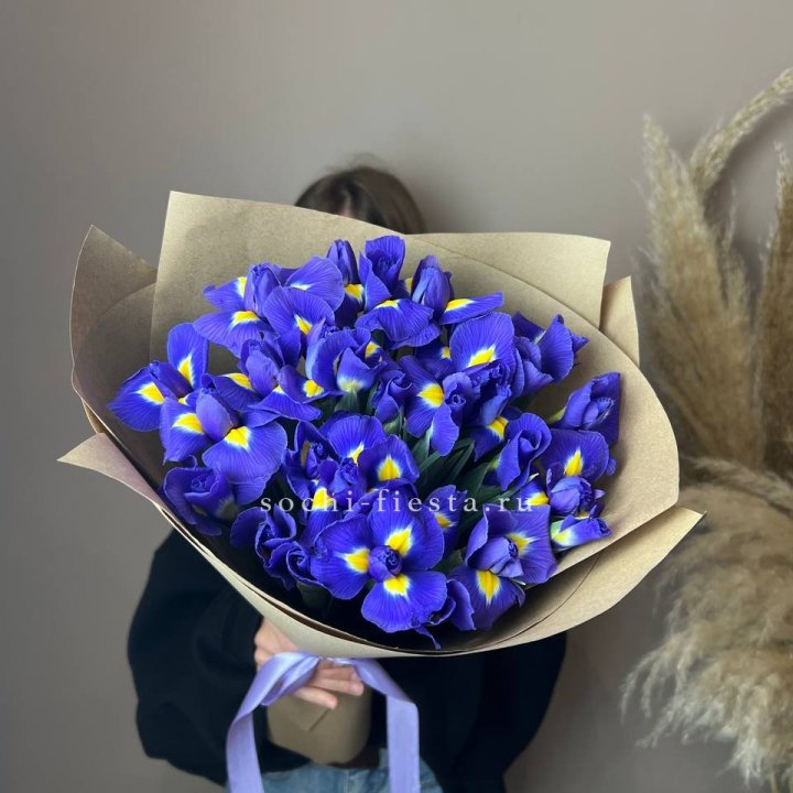 Ирисы в Пскове