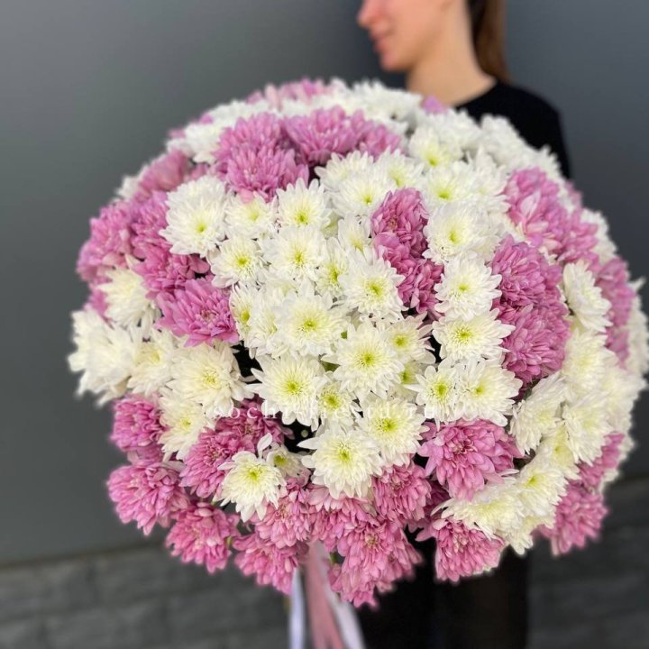  Букет 25 хризантем микс в Пскове