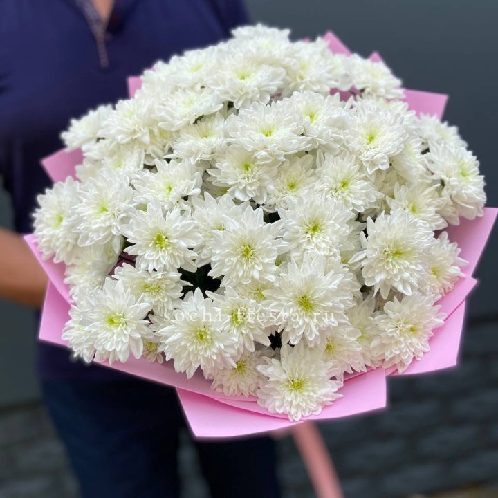  Букет 15 хризантем  в Пскове